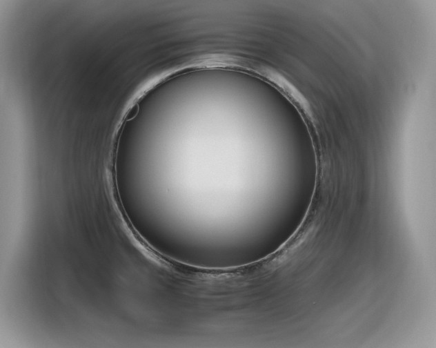 X0000116291429200912071201