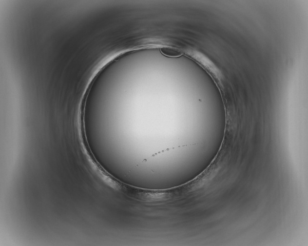 X0000116291431200912071201