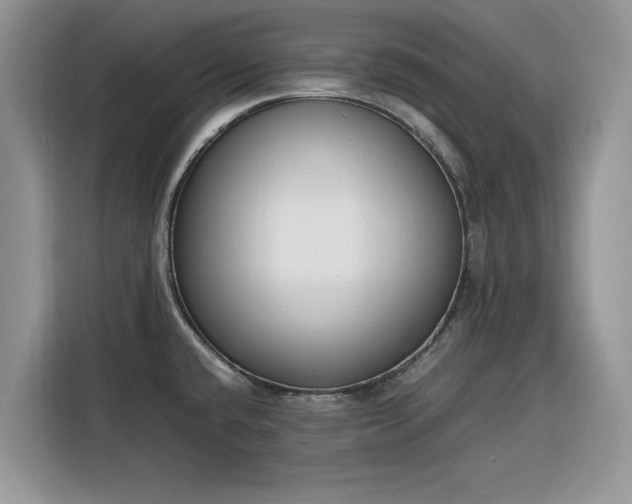 X0000116291432200912071201