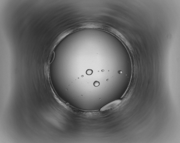 X0000116291433200912071201