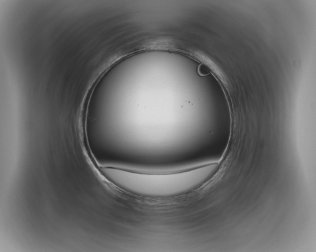 X0000116291434200912071201