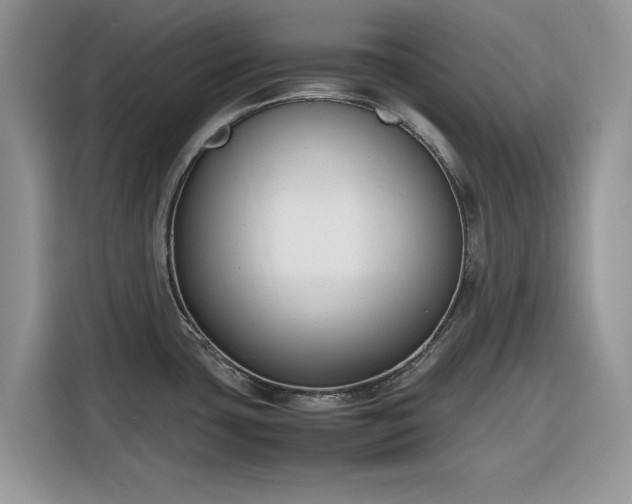 X0000116291435200912071201