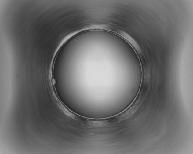 X0000116291436200912071201