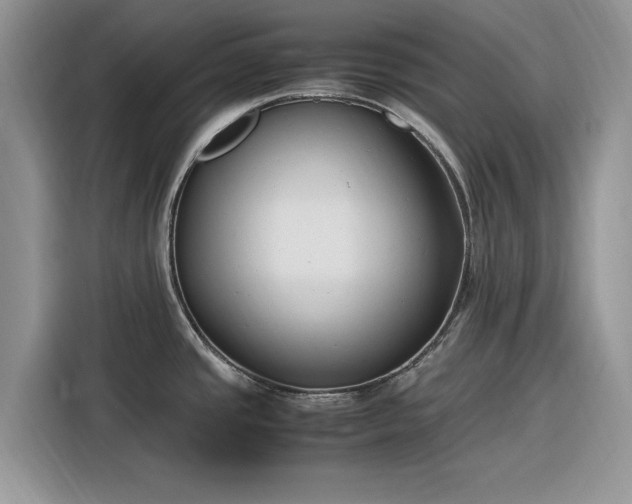 X0000116291437200912071201