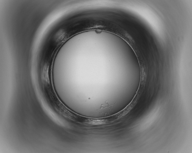 X0000116291439200912071201