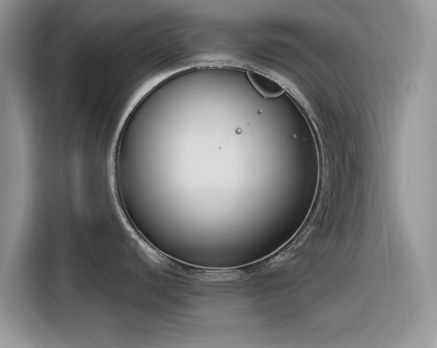 X0000116291440200912071201