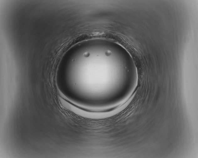 X0000116291441200912071201