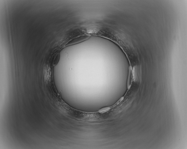 X0000116291443200912071201