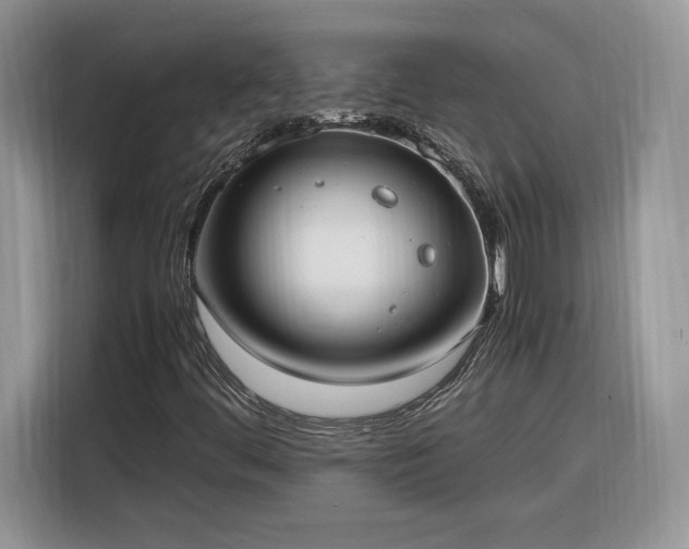 X0000116291444200912071201