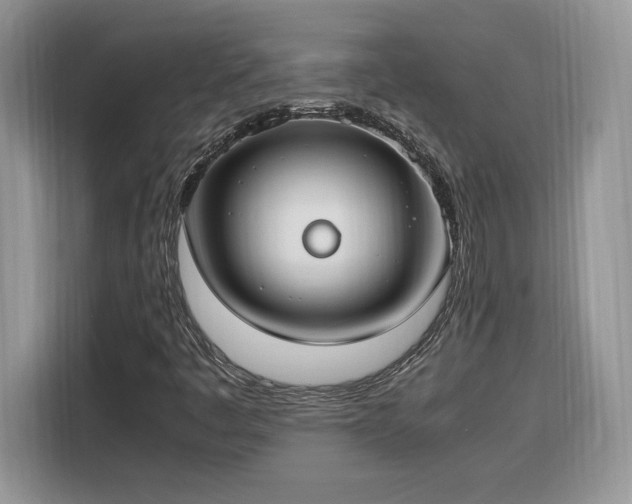 X0000116291445200912071201