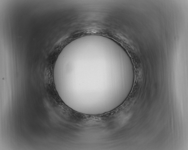 X0000116291446200912071201