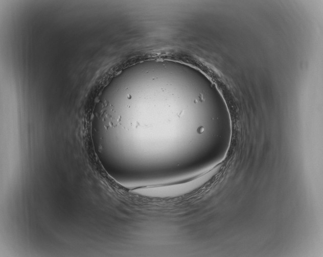 X0000116291447200912071201