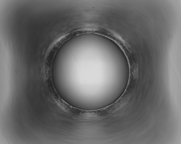 X0000116291448200912071201