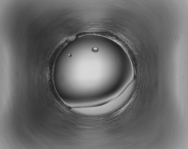 X0000116291449200912071201