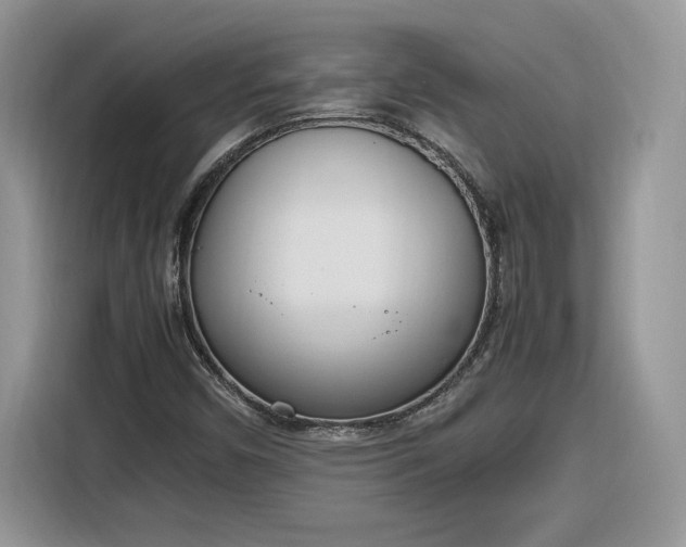 X0000116291450200912071201