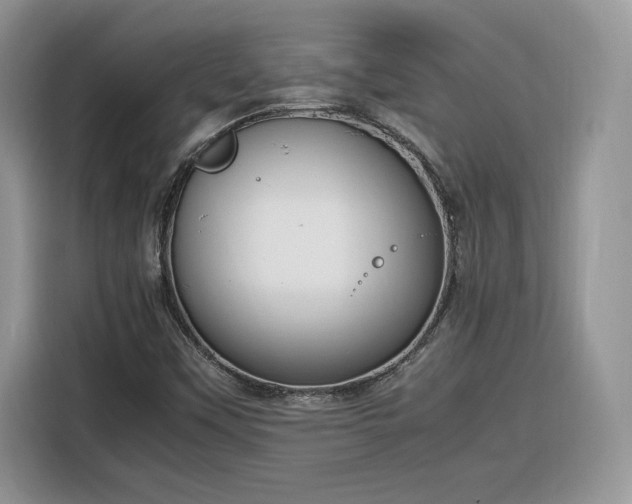 X0000116291451200912071201