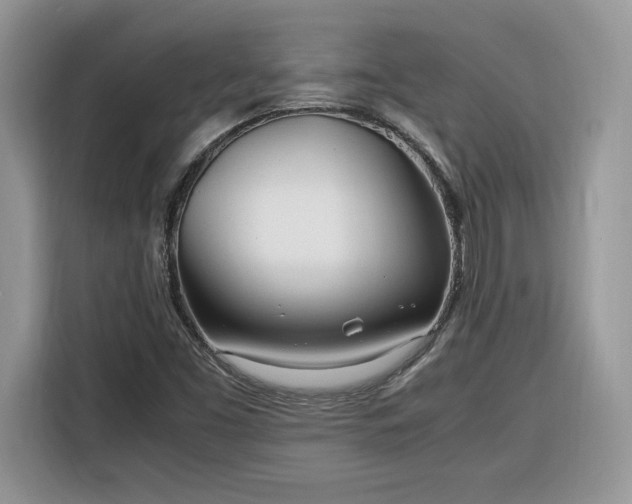 X0000116291453200912071201