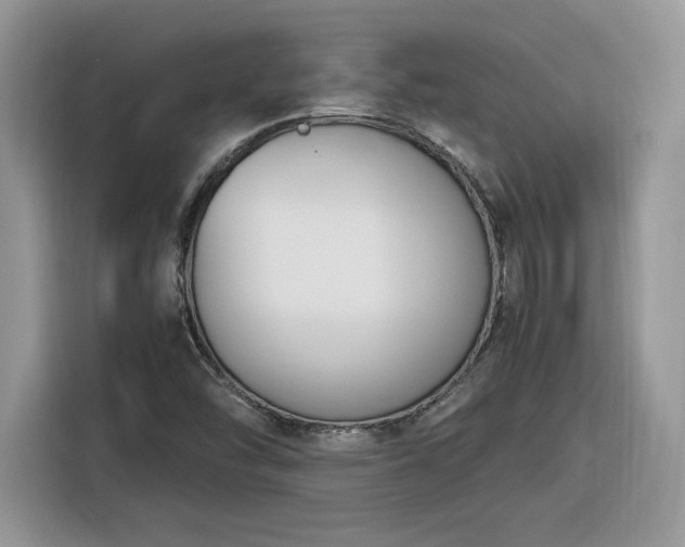 X0000116291454200912071201