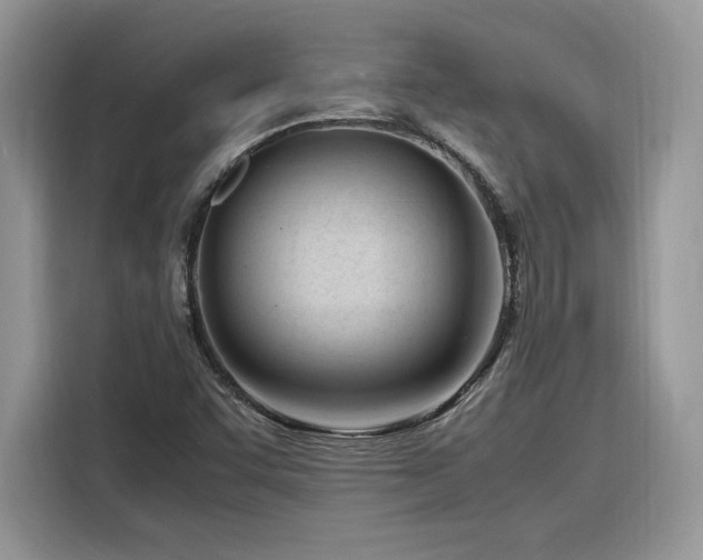 X0000116291455200912071201