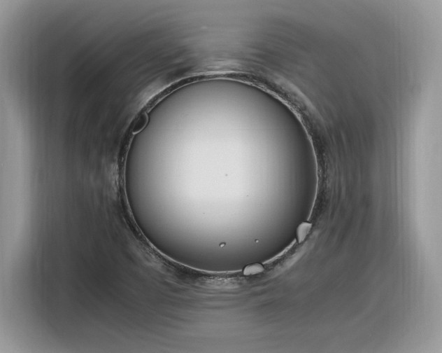 X0000116291457200912071201