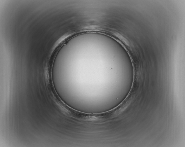 X0000116291458200912071201