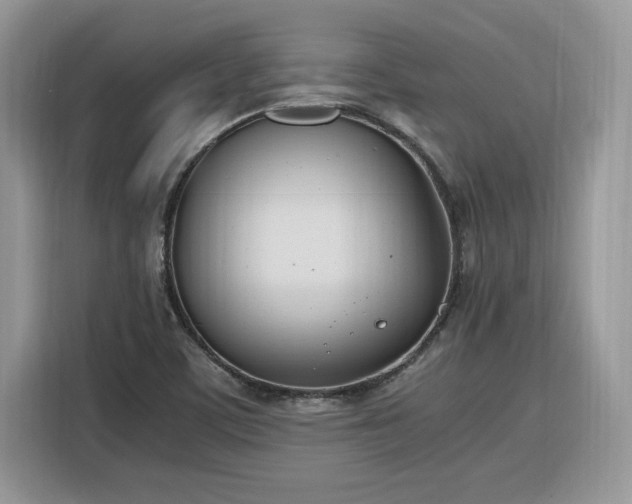 X0000116291459200912071200