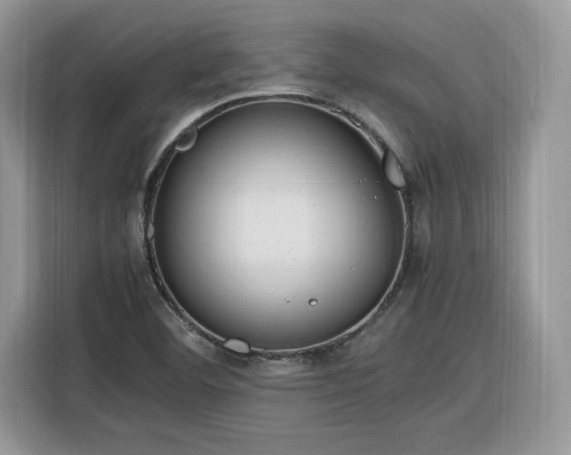 X0000116291460200912071200