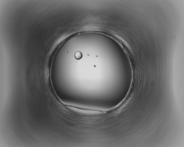 X0000116291461200912071200