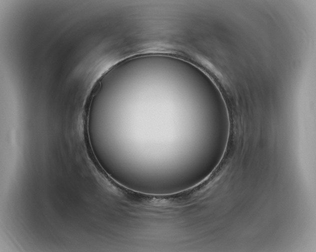 X0000116291463200912071200