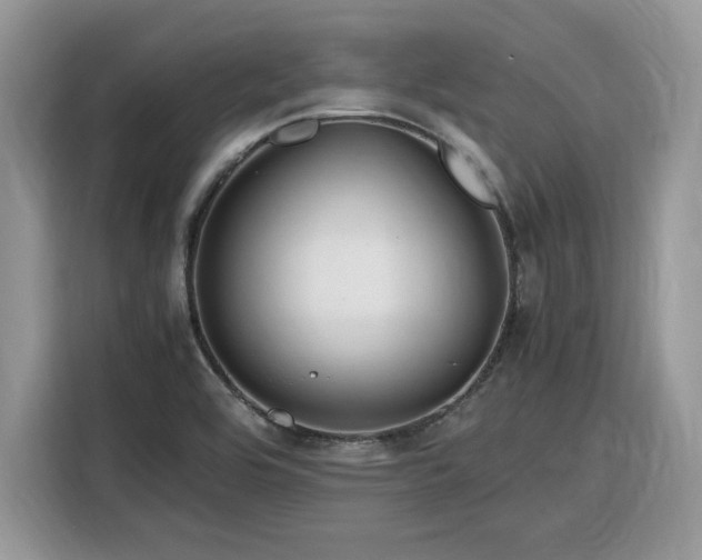 X0000116291464200912071200