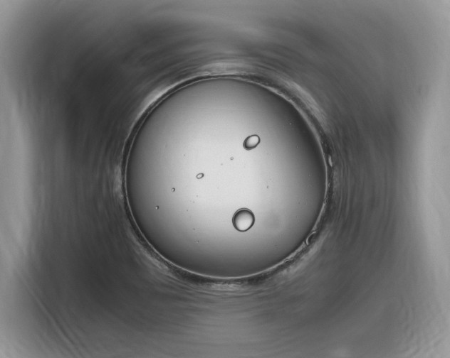 X0000116291465200912071200