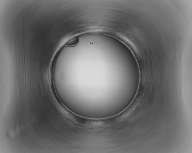 X0000116291467200912071200