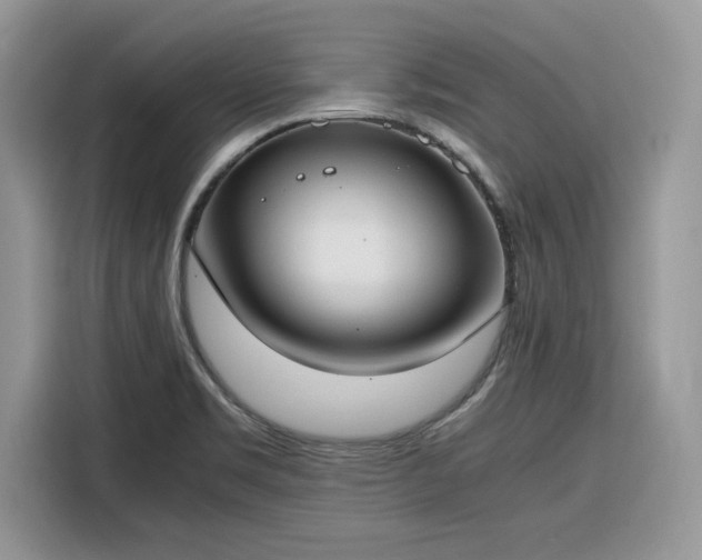 X0000116291469200912071200