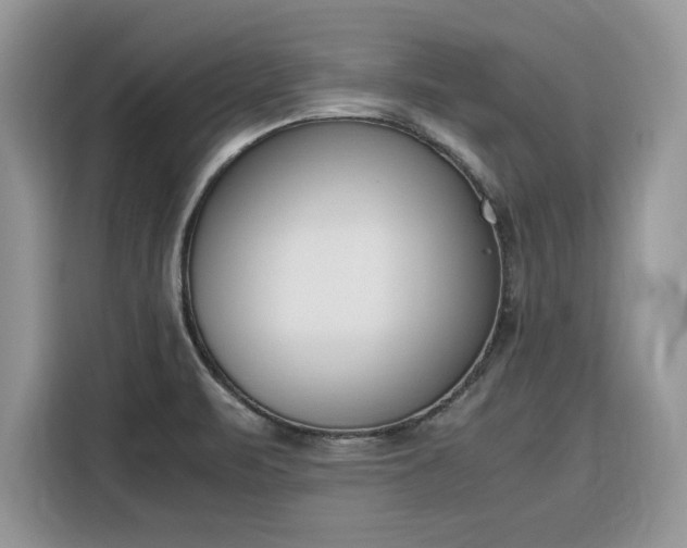 X0000116291471200912071200