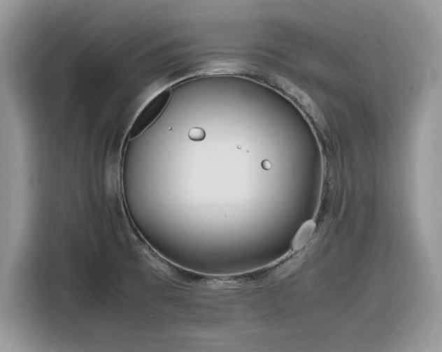 X0000116291473200912071200