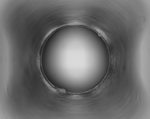 X0000116291476200912071200