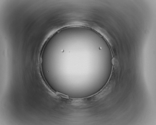 X0000116291477200912071200