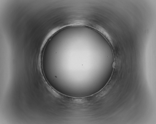 X0000116291480200912071200