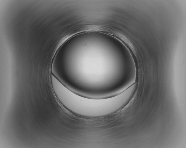 X0000116291481200912071200