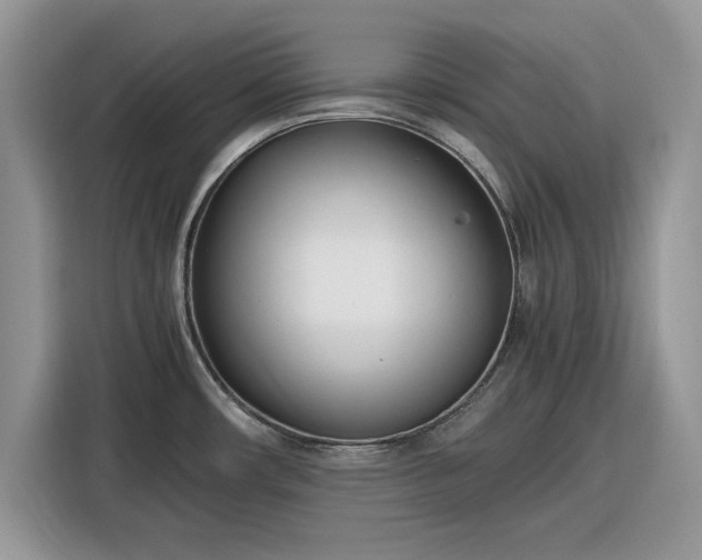 X0000116291482200912071200