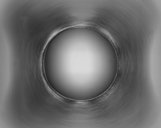 X0000116291483200912071200