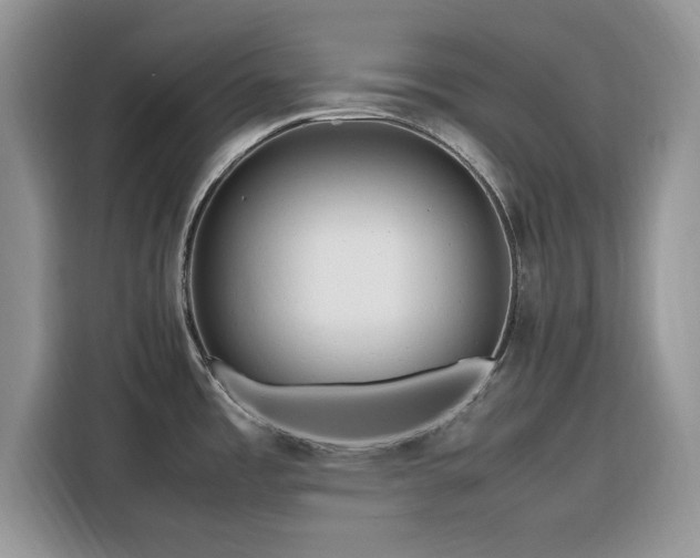 X0000116291485200912071200