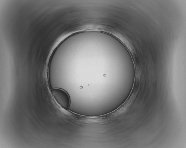 X0000116291486200912071200