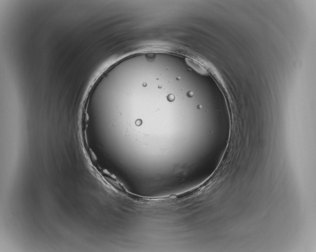 X0000116291488200912071200