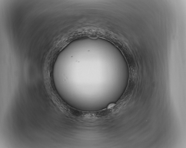 X0000116291489200912071159