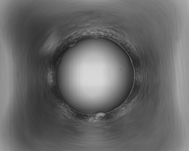 X0000116291490200912071159