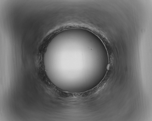 X0000116291494200912071159