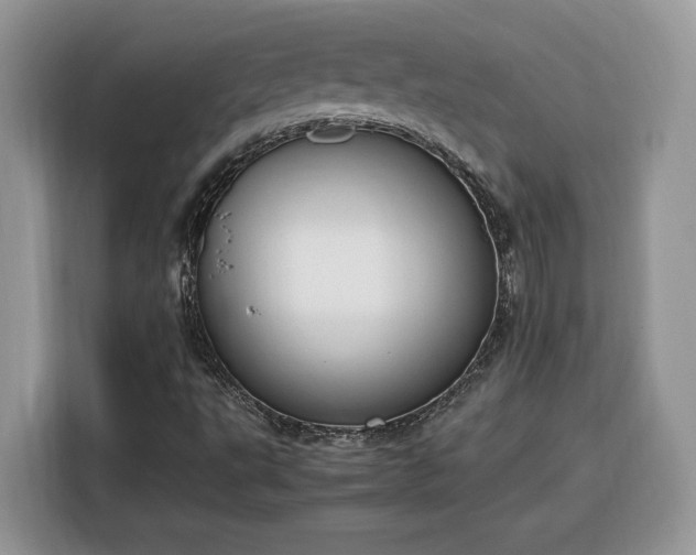 X0000116291495200912071159