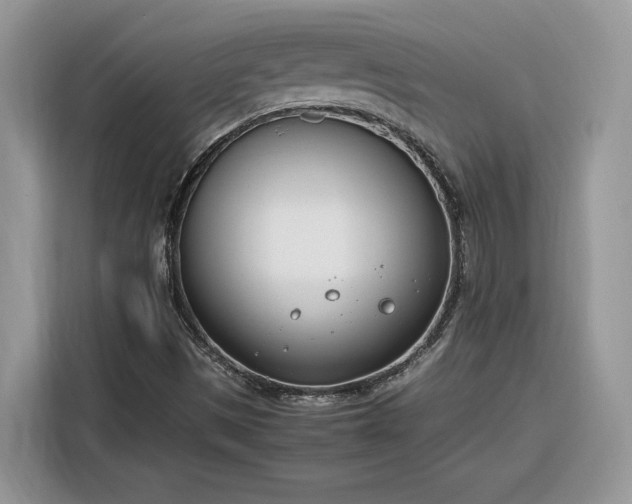 X0000116291497200912071200