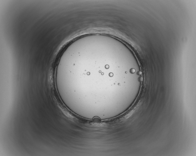 X0000116291498200912071200